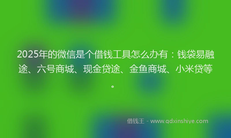 2025年的微信是个借钱工具怎么办有：钱袋易融途、六号商城、现金贷途、金鱼商城、小米贷等。