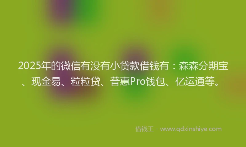 2025年的微信有没有小贷款借钱有：森森分期宝、现金易、粒粒贷、普惠Pro钱包、亿运通等。