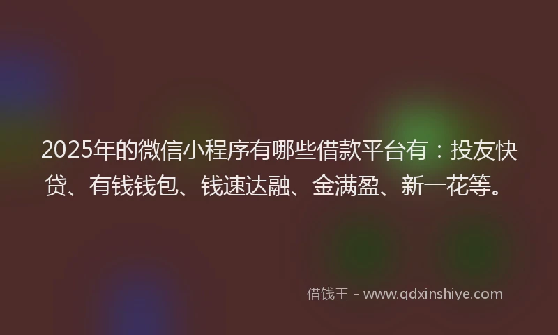 2025年的微信小程序有哪些借款平台有：投友快贷、有钱钱包、钱速达融、金满盈、新一花等。