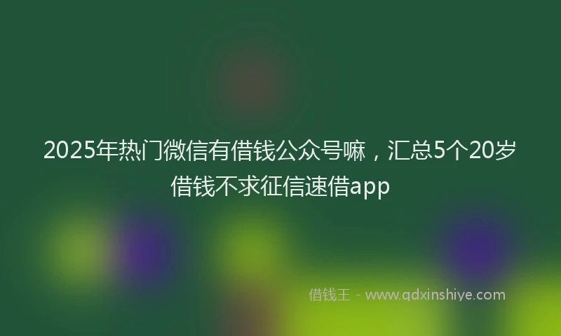 2025年热门微信有借钱公众号嘛，汇总5个20岁借钱不求征信速借app