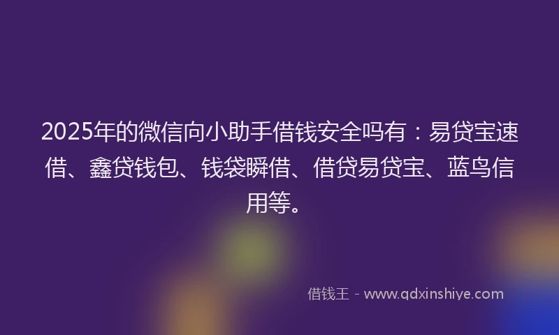 2025年的微信向小助手借钱安全吗有：易贷宝速借、鑫贷钱包、钱袋瞬借、借贷易贷宝、蓝鸟信用等。