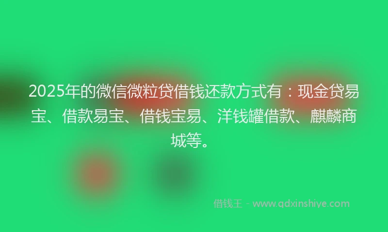 2025年的微信微粒贷借钱还款方式有：现金贷易宝、借款易宝、借钱宝易、洋钱罐借款、麒麟商城等。
