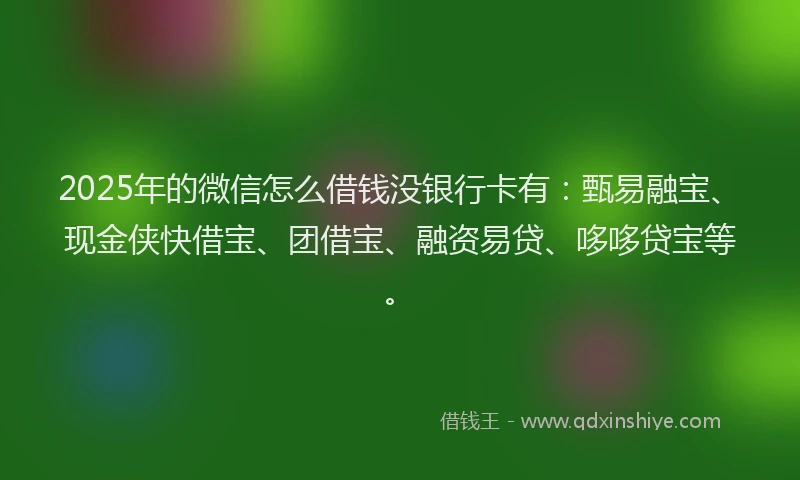 2025年的微信怎么借钱没银行卡有：甄易融宝、现金侠快借宝、团借宝、融资易贷、哆哆贷宝等。
