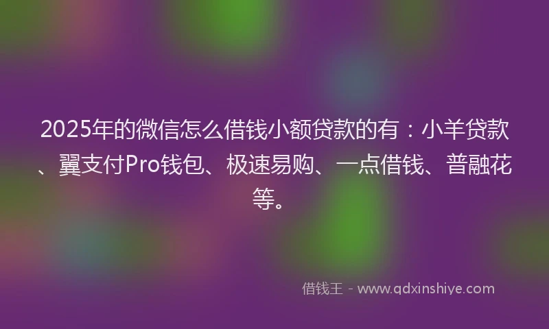 2025年的微信怎么借钱小额贷款的有：小羊贷款、翼支付Pro钱包、极速易购、一点借钱、普融花等。