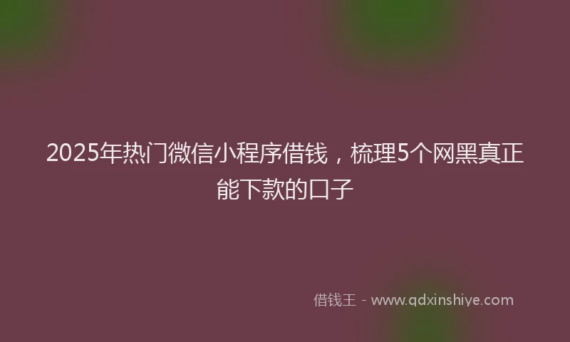 2025年热门微信小程序借钱，梳理5个网黑真正能下款的口子