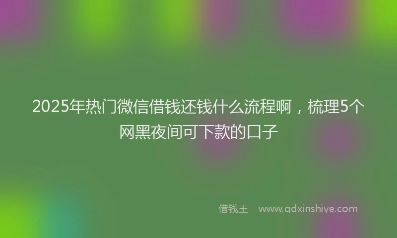 2025年热门微信借钱还钱什么流程啊，梳理5个网黑夜间可下款的口子
