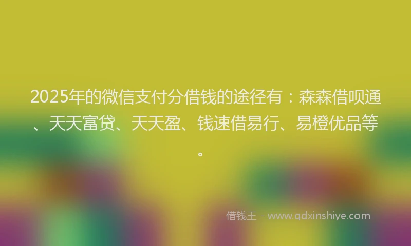 2025年的微信支付分借钱的途径有：森森借呗通、天天富贷、天天盈、钱速借易行、易橙优品等。