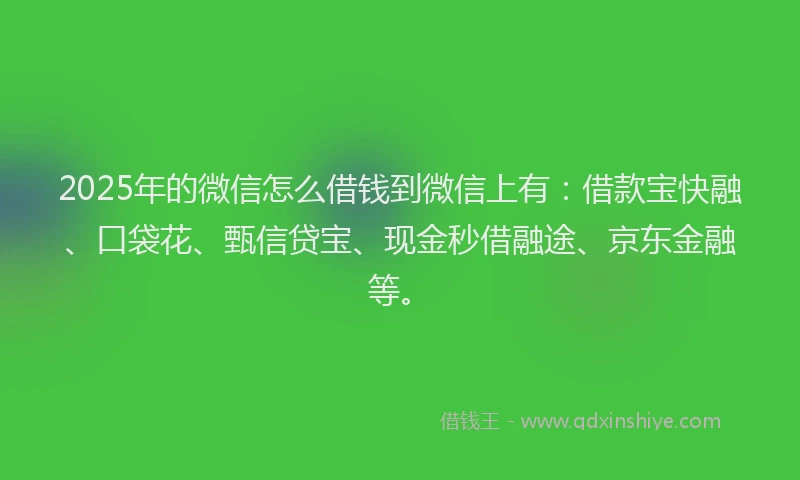 2025年的微信怎么借钱到微信上有：借款宝快融、口袋花、甄信贷宝、现金秒借融途、京东金融等。