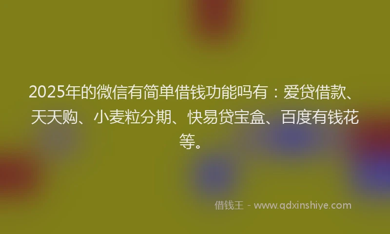 2025年的微信有简单借钱功能吗有：爱贷借款、天天购、小麦粒分期、快易贷宝盒、百度有钱花等。