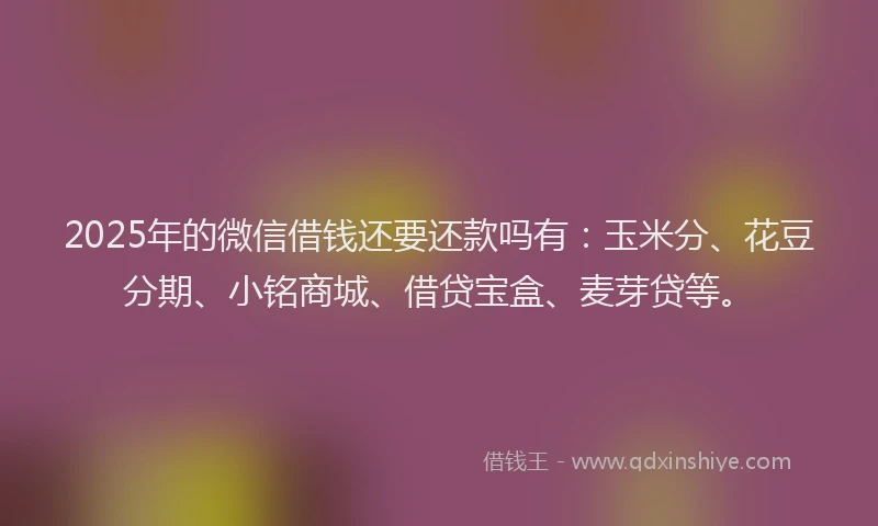 2025年的微信借钱还要还款吗有：玉米分、花豆分期、小铭商城、借贷宝盒、麦芽贷等。