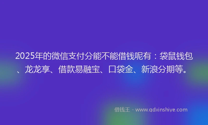 2025年的微信支付分能不能借钱呢有：袋鼠钱包、龙龙享、借款易融宝、口袋金、新浪分期等。