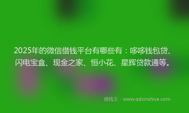 2025年的微信借钱平台有哪些有：哆哆钱包贷、闪电宝盒、现金之家、恒小花、星辉贷款通等。