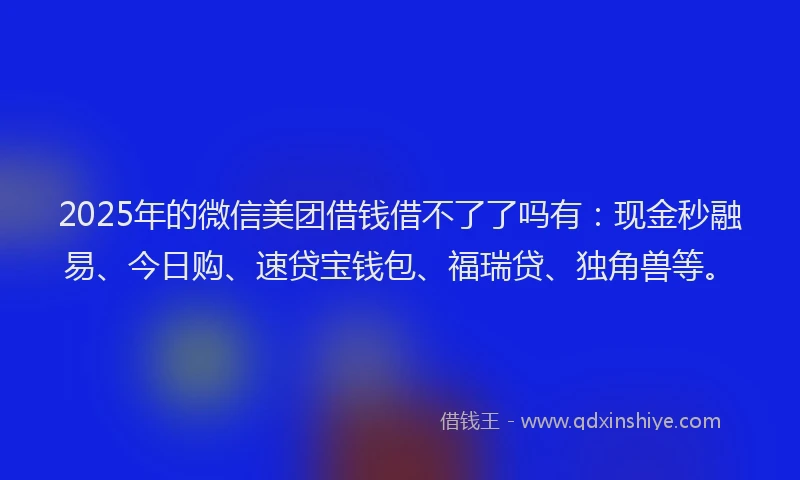 2025年的微信美团借钱借不了了吗有：现金秒融易、今日购、速贷宝钱包、福瑞贷、独角兽等。