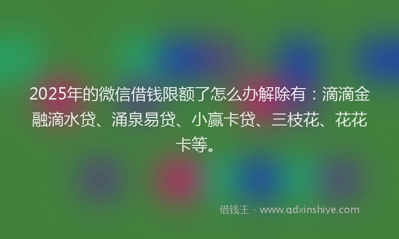 2025年的微信借钱限额了怎么办解除有：滴滴金融滴水贷、涌泉易贷、小赢卡贷、三枝花、花花卡等。