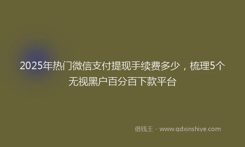 2025年热门微信支付提现手续费多少，梳理5个无视黑户百分百下款平台