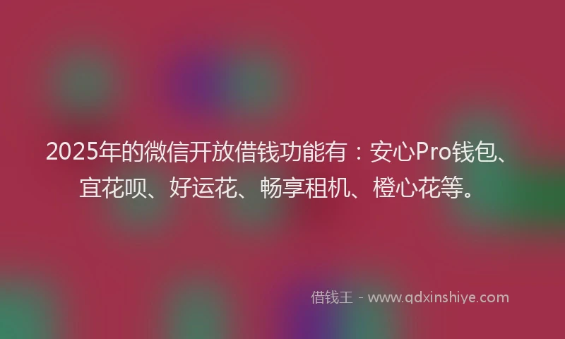 2025年的微信开放借钱功能有：安心Pro钱包、宜花呗、好运花、畅享租机、橙心花等。
