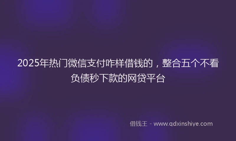 2025年热门微信支付咋样借钱的，整合五个不看负债秒下款的网贷平台
