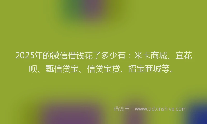 2025年的微信借钱花了多少有：米卡商城、宜花呗、甄信贷宝、信贷宝贷、招宝商城等。