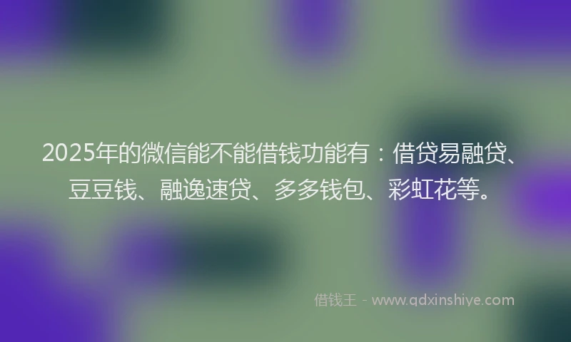 2025年的微信能不能借钱功能有：借贷易融贷、豆豆钱、融逸速贷、多多钱包、彩虹花等。
