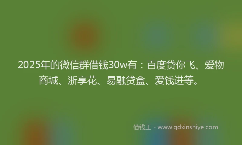 2025年的微信群借钱30w有：百度贷你飞、爱物商城、浙享花、易融贷盒、爱钱进等。