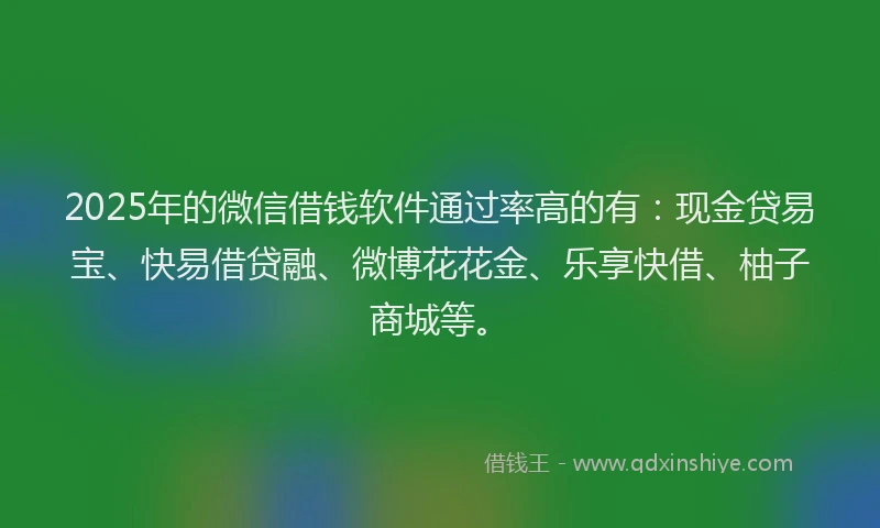 2025年的微信借钱软件通过率高的有：现金贷易宝、快易借贷融、微博花花金、乐享快借、柚子商城等。