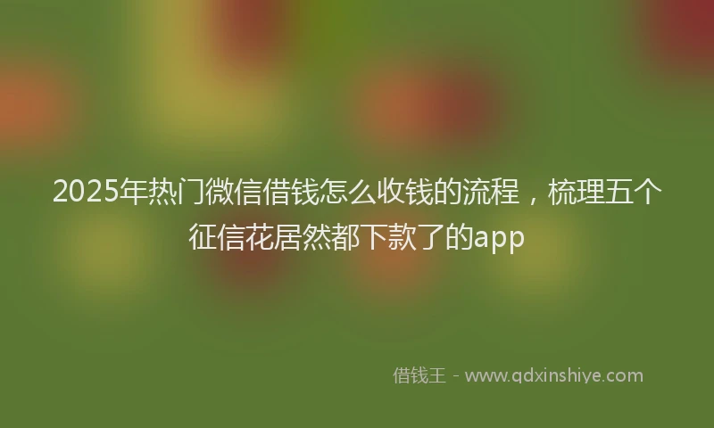 2025年热门微信借钱怎么收钱的流程，梳理五个征信花居然都下款了的app