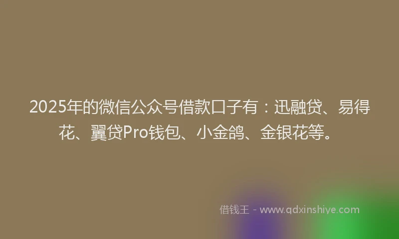 2025年的微信公众号借款口子有：迅融贷、易得花、翼贷Pro钱包、小金鸽、金银花等。