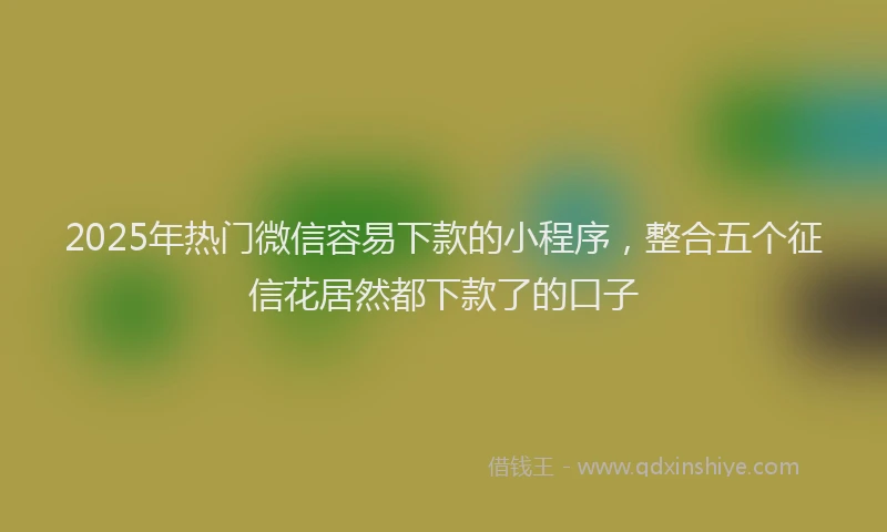 2025年热门微信容易下款的小程序，整合五个征信花居然都下款了的口子