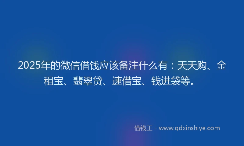 2025年的微信借钱应该备注什么有：天天购、金租宝、翡翠贷、速借宝、钱进袋等。