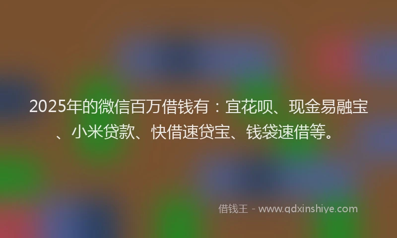 2025年的微信百万借钱有：宜花呗、现金易融宝、小米贷款、快借速贷宝、钱袋速借等。