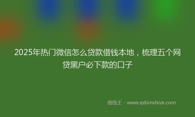 2025年热门微信怎么贷款借钱本地，梳理五个网贷黑户必下款的口子