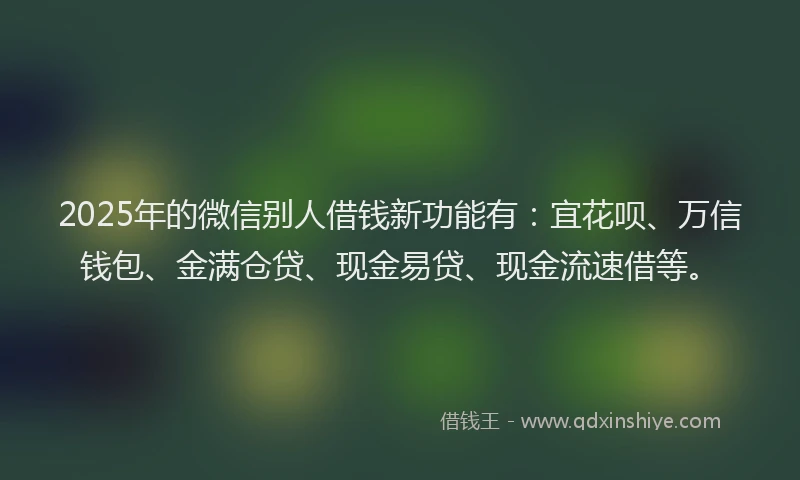 2025年的微信别人借钱新功能有：宜花呗、万信钱包、金满仓贷、现金易贷、现金流速借等。