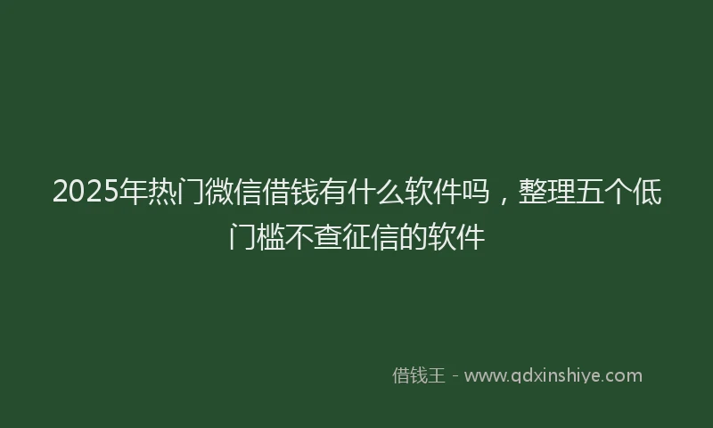 2025年热门微信借钱有什么软件吗，整理五个低门槛不查征信的软件