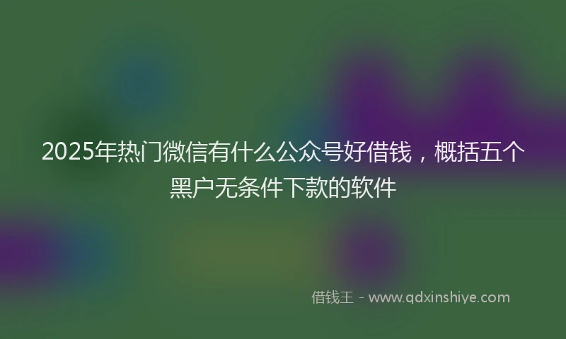 2025年热门微信有什么公众号好借钱，概括五个黑户无条件下款的软件