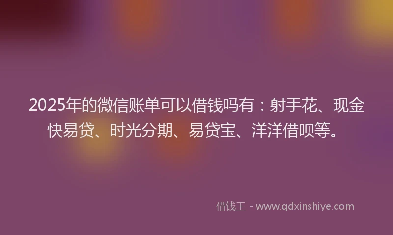 2025年的微信账单可以借钱吗有：射手花、现金快易贷、时光分期、易贷宝、洋洋借呗等。