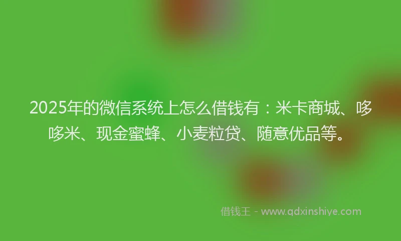2025年的微信系统上怎么借钱有：米卡商城、哆哆米、现金蜜蜂、小麦粒贷、随意优品等。