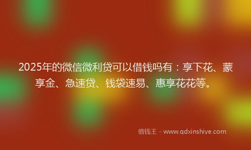 2025年的微信微利贷可以借钱吗有：享下花、蒙享金、急速贷、钱袋速易、惠享花花等。