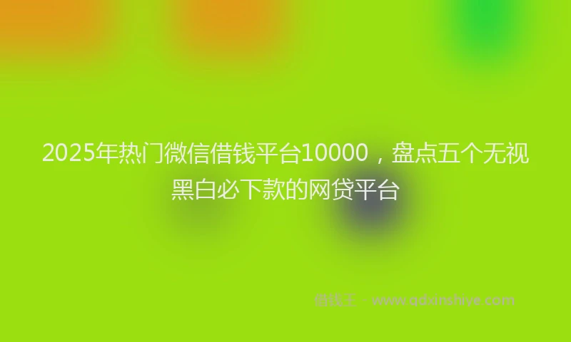 2025年热门微信借钱平台10000，盘点五个无视黑白必下款的网贷平台