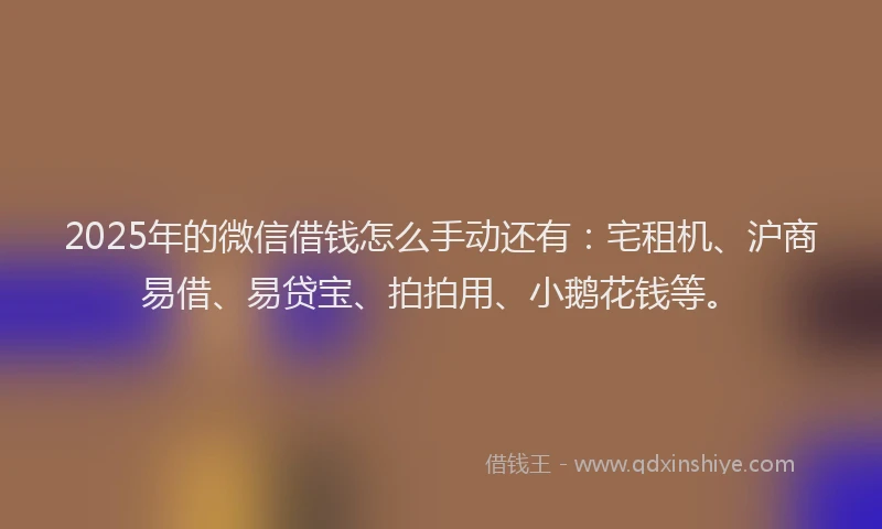 2025年的微信借钱怎么手动还有：宅租机、沪商易借、易贷宝、拍拍用、小鹅花钱等。