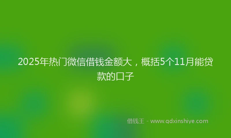 2025年热门微信借钱金额大，概括5个11月能贷款的口子
