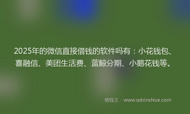 2025年的微信直接借钱的软件吗有：小花钱包、喜融信、美团生活费、蓝鲸分期、小鹅花钱等。