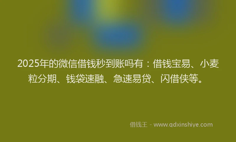 2025年的微信借钱秒到账吗有：借钱宝易、小麦粒分期、钱袋速融、急速易贷、闪借侠等。