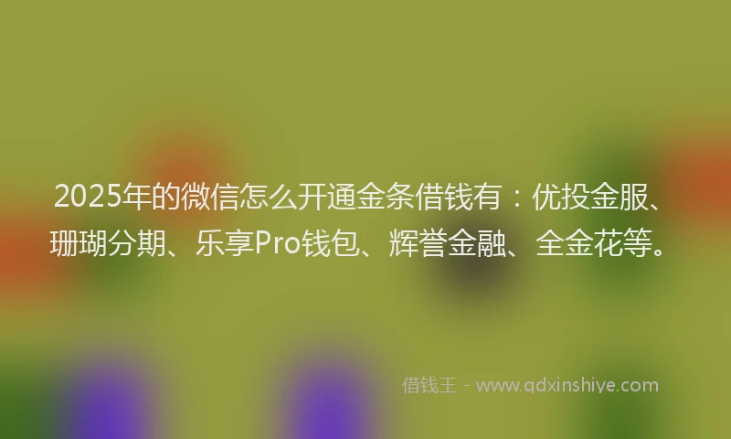 2025年的微信怎么开通金条借钱有：优投金服、珊瑚分期、乐享Pro钱包、辉誉金融、全金花等。