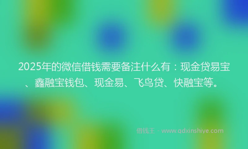 2025年的微信借钱需要备注什么有：现金贷易宝、鑫融宝钱包、现金易、飞鸟贷、快融宝等。