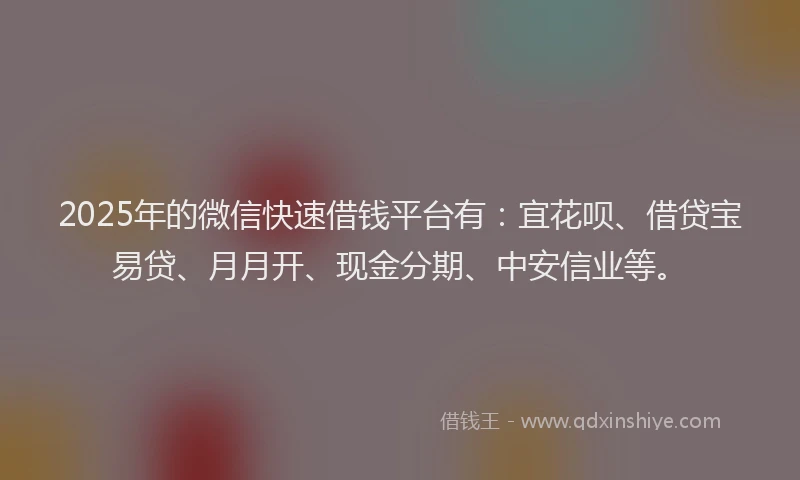 2025年的微信快速借钱平台有：宜花呗、借贷宝易贷、月月开、现金分期、中安信业等。