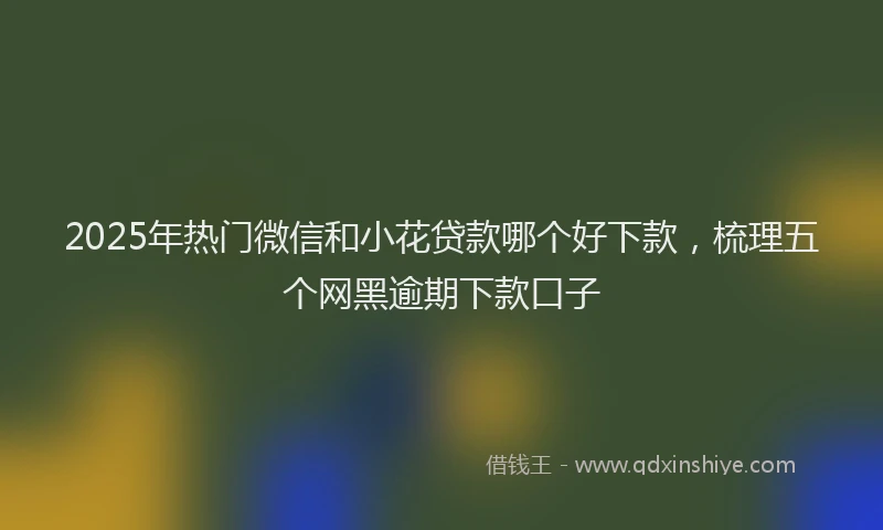 2025年热门微信和小花贷款哪个好下款，梳理五个网黑逾期下款口子