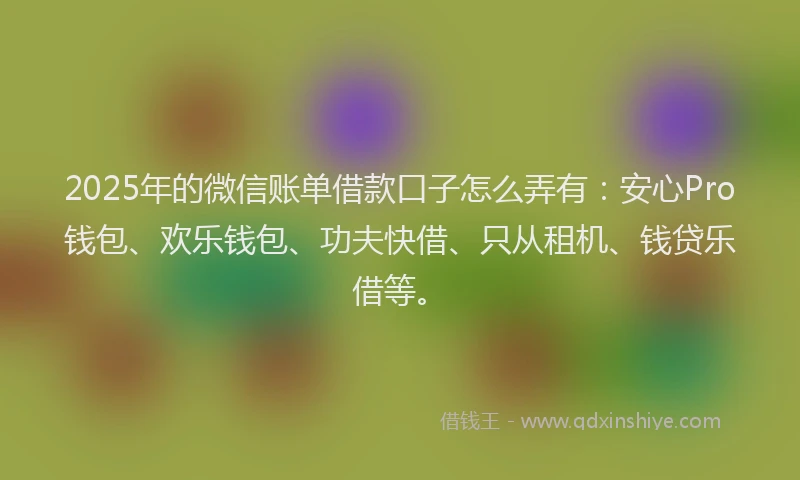 2025年的微信账单借款口子怎么弄有：安心Pro钱包、欢乐钱包、功夫快借、只从租机、钱贷乐借等。