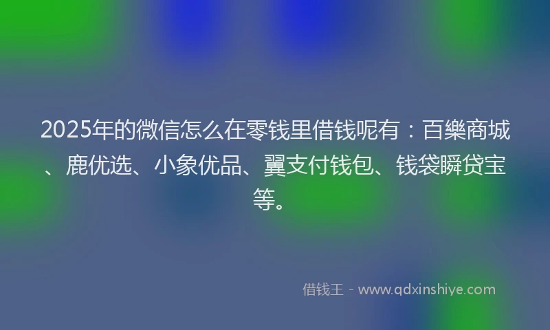 2025年的微信怎么在零钱里借钱呢有：百樂商城、鹿优选、小象优品、翼支付钱包、钱袋瞬贷宝等。