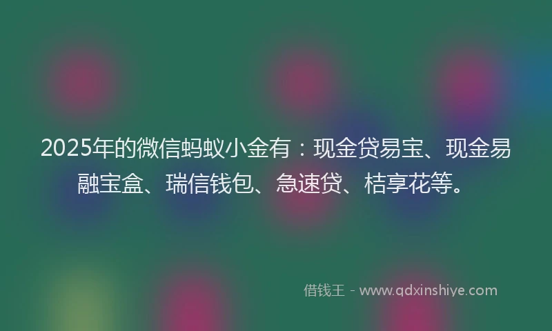 2025年的微信蚂蚁小金有：现金贷易宝、现金易融宝盒、瑞信钱包、急速贷、桔享花等。