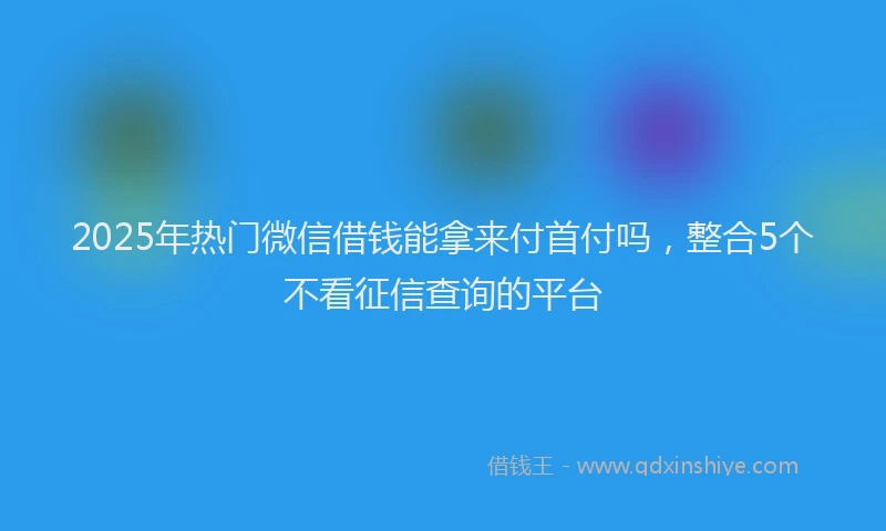 2025年热门微信借钱能拿来付首付吗，整合5个不看征信查询的平台